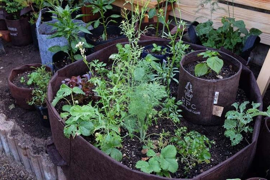 Growbag Root Pouch doniczka materiałowa 28x26cm 16L z uchwytami brązowa 420 szt