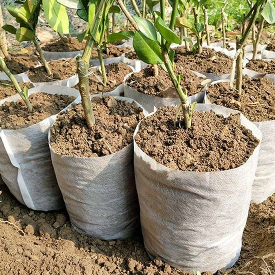 White Grow Bag 9,5 x 34,5 cm 2,45L 50 sztuk - biodegradowalne doniczki materiałowe do rozsad