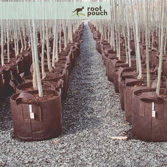 Multipack Root Pouch doniczka materiałowa 43x38cm 56L z uchwytami brązowa 10 szt