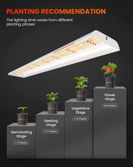 Spider farmer SF600 74W Osram 100cm - podłużna lampa LED do roślin (rekomendowana do sadzonek)