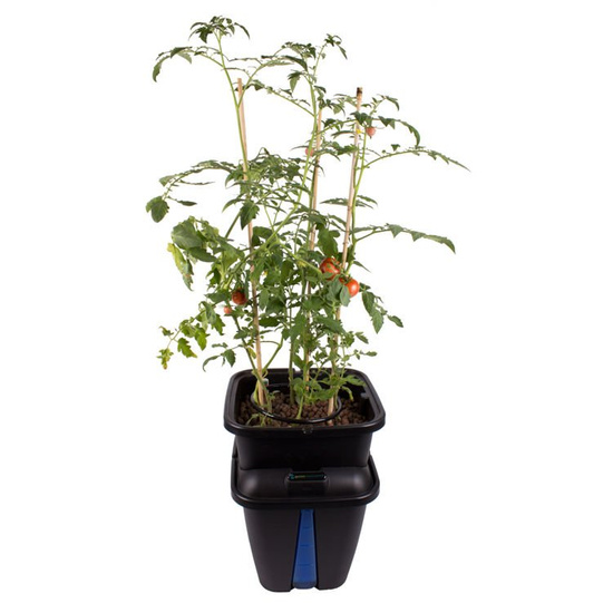PLANT!T GEMINI System hydroponiczny na 1 roślinę
