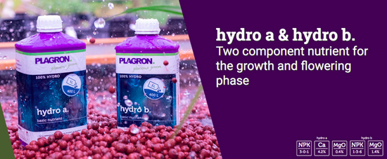 Plagron Hydro A+B 1L - nawóz do uprawy hydroponicznej